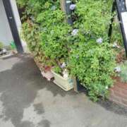 ヒメ日記 2025/10/13 22:18 投稿 恵(めぐみ) エッチな熟女(広島)