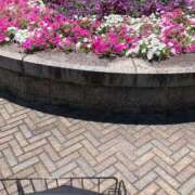 ヒメ日記 2025/10/28 09:54 投稿 恵(めぐみ) エッチな熟女(広島)