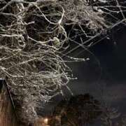 ヒメ日記 2026/02/09 06:40 投稿 恵(めぐみ) エッチな熟女(広島)