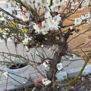 ヒメ日記 2026/02/22 08:00 投稿 恵(めぐみ) エッチな熟女(広島)