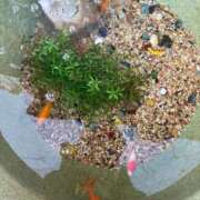 ヒメ日記 2026/03/14 19:30 投稿 恵(めぐみ) エッチな熟女(広島)