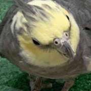 ヒメ日記 2025/01/02 08:35 投稿 りお 中洲秘密倶楽部