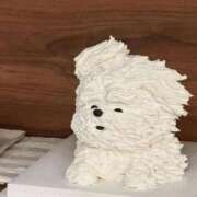 ヒメ日記 2025/01/14 12:25 投稿 りお 中洲秘密倶楽部