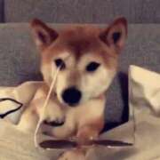 ヒメ日記 2025/01/15 13:25 投稿 りお 中洲秘密倶楽部