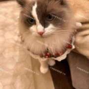 ヒメ日記 2025/01/20 15:25 投稿 りお 中洲秘密倶楽部