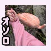 ヒメ日記 2025/04/23 21:45 投稿 りお 中洲秘密倶楽部