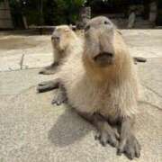 ヒメ日記 2025/05/07 01:05 投稿 りお 中洲秘密倶楽部