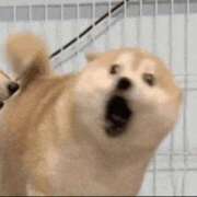 ヒメ日記 2026/02/26 11:25 投稿 りお 中洲秘密倶楽部