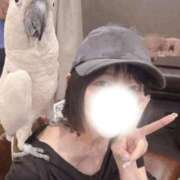 ヒメ日記 2026/03/09 12:05 投稿 りお 中洲秘密倶楽部