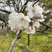 ヒメ日記 2026/03/28 23:45 投稿 りお 中洲秘密倶楽部