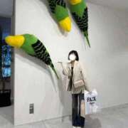 ヒメ日記 2026/05/13 20:55 投稿 りお 中洲秘密倶楽部