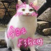 ヒメ日記 2026/06/20 07:55 投稿 りお 中洲秘密倶楽部