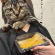 ヒメ日記 2025/03/21 14:38 投稿 のあ 京都回春性感マッサージ倶楽部