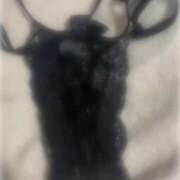 ヒメ日記 2025/03/27 12:18 投稿 のあ 京都回春性感マッサージ倶楽部