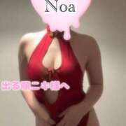 ヒメ日記 2025/04/26 15:18 投稿 のあ 京都回春性感マッサージ倶楽部