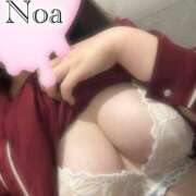 ヒメ日記 2025/05/29 14:18 投稿 のあ 京都回春性感マッサージ倶楽部