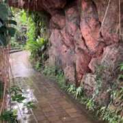 ヒメ日記 2025/11/23 16:18 投稿 のあ 京都回春性感マッサージ倶楽部