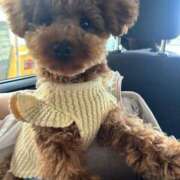 ヒメ日記 2025/05/11 23:32 投稿 かれん※性に目覚めた女子大生 即イキ淫乱倶楽部 柏店