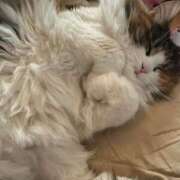 ヒメ日記 2025/03/19 09:17 投稿 安藤なな 大阪ぽっちゃり妻 谷九店