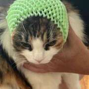 ヒメ日記 2025/09/11 17:54 投稿 安藤なな 大阪ぽっちゃり妻 谷九店