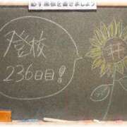 ヒメ日記 2026/05/11 22:22 投稿 みおん☆イチャラブ大好きな性徒♪ 妹系イメージSOAP萌えフードル学園 大宮本校
