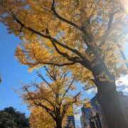 ヒメ日記 2024/12/22 00:41 投稿 天海あんな エステdeシンデレラ横浜（シンデレラグループ）