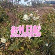 ヒメ日記 2025/01/11 20:43 投稿 天海あんな エステdeシンデレラ横浜（シンデレラグループ）