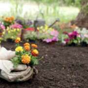 ヒメ日記 2025/06/20 09:05 投稿 花乃 人妻風俗チャンネル