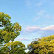 ヒメ日記 2025/06/22 08:51 投稿 花乃 人妻風俗チャンネル