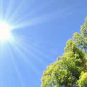 ヒメ日記 2025/06/27 08:03 投稿 花乃 人妻風俗チャンネル