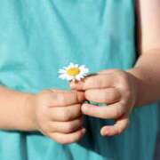 ヒメ日記 2025/08/21 07:23 投稿 花乃 人妻風俗チャンネル