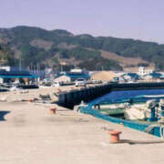 ヒメ日記 2025/09/25 09:12 投稿 花乃 人妻風俗チャンネル