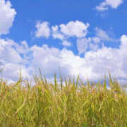 ヒメ日記 2025/10/14 19:51 投稿 花乃 人妻風俗チャンネル