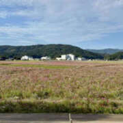 ヒメ日記 2025/11/19 09:46 投稿 花乃 人妻風俗チャンネル