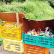 ヒメ日記 2025/12/15 09:35 投稿 花乃 人妻風俗チャンネル