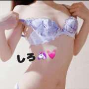 ヒメ日記 2025/03/15 19:55 投稿 しろ☆JACK CAST Ace(エース)