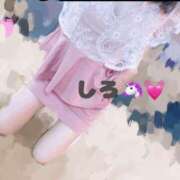 ヒメ日記 2025/04/09 08:55 投稿 しろ☆JACK CAST Ace(エース)