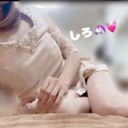 ヒメ日記 2025/04/17 11:55 投稿 しろ☆JACK CAST Ace(エース)