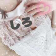 ヒメ日記 2025/04/25 09:19 投稿 しろ☆JACK CAST Ace(エース)