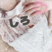 ヒメ日記 2025/05/14 09:17 投稿 しろ☆JACK CAST Ace(エース)