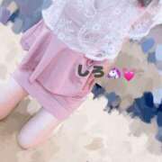 ヒメ日記 2025/06/03 10:01 投稿 しろ☆JACK CAST Ace(エース)