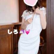 ヒメ日記 2025/11/21 09:02 投稿 しろ☆JACK CAST Ace(エース)