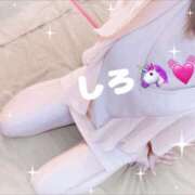 しろ☆JACK CAST 🍒ぐっもーにんっ🍒 Ace(エース)