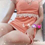 ヒメ日記 2026/02/27 09:21 投稿 しろ☆JACK CAST Ace(エース)