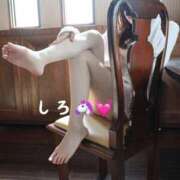 ヒメ日記 2026/03/03 09:09 投稿 しろ☆JACK CAST Ace(エース)