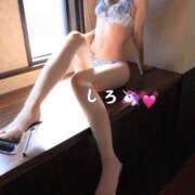 ヒメ日記 2026/04/24 12:06 投稿 しろ☆JACK CAST Ace(エース)