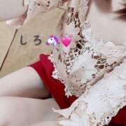 ヒメ日記 2026/04/27 09:20 投稿 しろ☆JACK CAST Ace(エース)