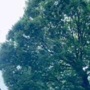 宮本なおこ 毎日のカウントダウンに…? MADAM