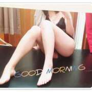 ヒメ日記 2024/12/10 07:43 投稿 なな 元町奥さま