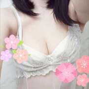 ヒメ日記 2025/04/09 01:24 投稿 なな 元町奥さま